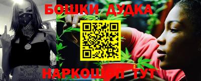 шишки Партизанск