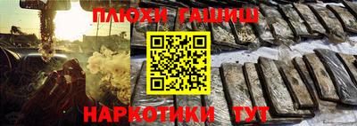 шишки Партизанск