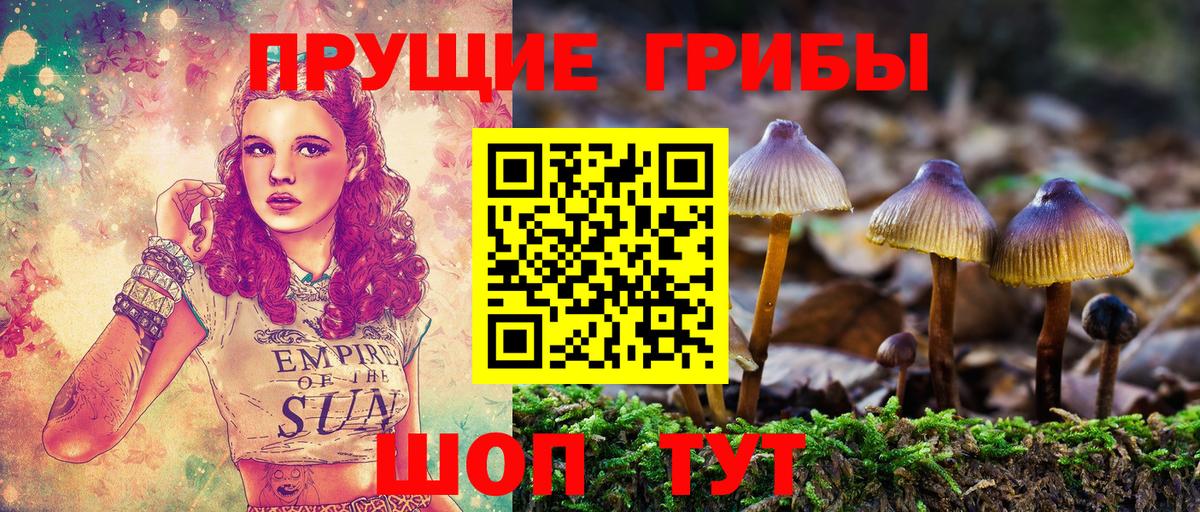 Галлюциногенные грибы мицелий Новокубанск