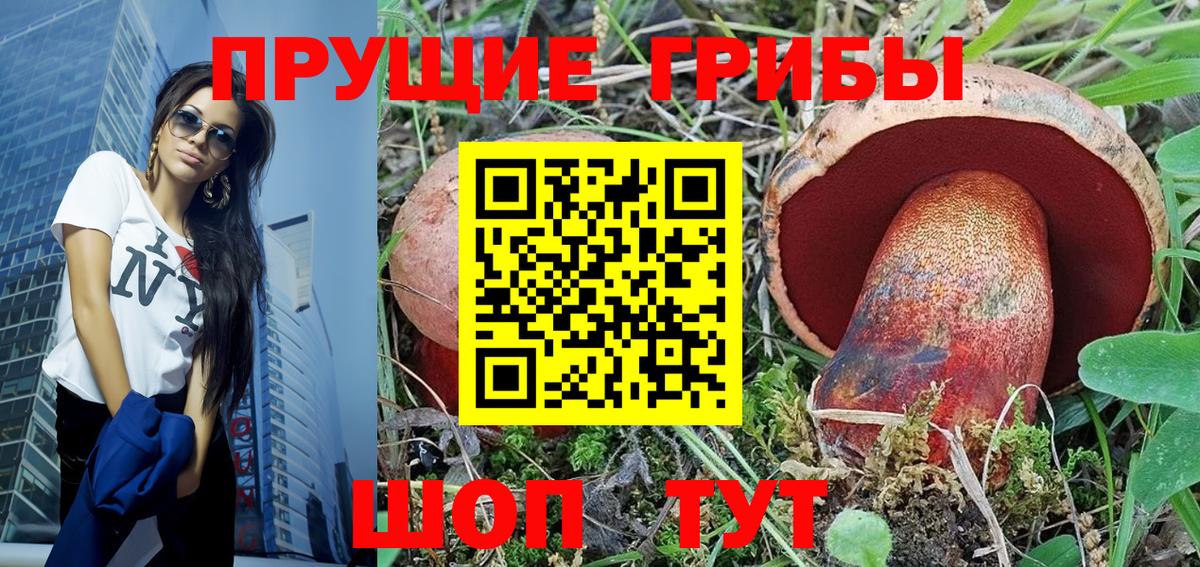 Галлюциногенные грибы Magic Shrooms  Галлюциногенные грибы Psilocybe  Новокубанск  Вход с VPN 